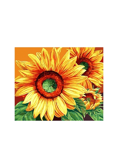 Ayçiçeği Masalı 1 Çerçeveli 60x75 Sayılarla Boyama Hobi Seti Diğer