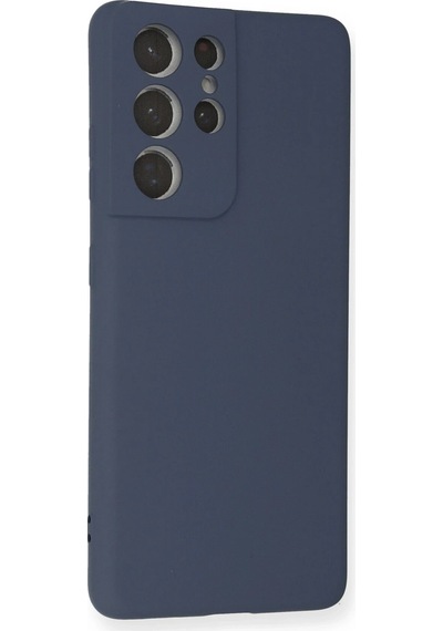 Lvsqvr Newface Samsung Uyumlu Galaxy S21 Ultra Kılıf Nano İçi Kadife Silikon - Gri