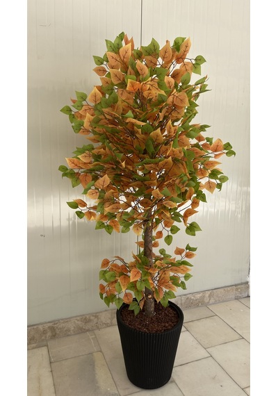 Sarı Yeşil Sakura Ağacı 170cm Siyah Luna Saksı Çok Renkli