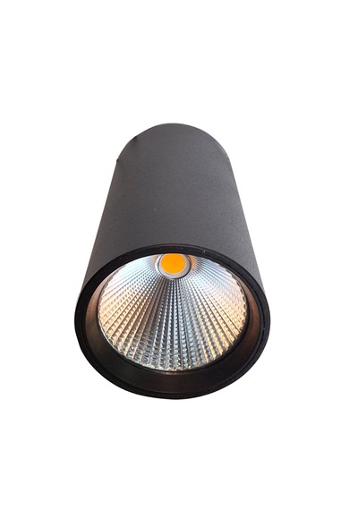 Silindir Philips Ledli 30w Siyah Tavan Armatürü Beyaz Işık