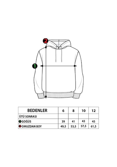 Toontoy Kids Toontoy Erkek Çocuk Kapüşonlu Baskılı Sweatshirt Saks