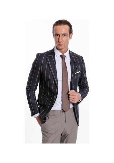 Wessi Çizgili Slim Fit Füme Erkek Ceket Siyah