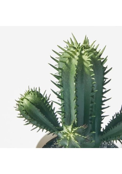 Tr Yapay Bitki, Yeşil, 6 Cm, Kaktüs, İç/dış Mekan Diğer