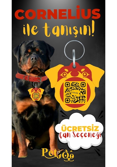Petjoo 20.Cornelius Sarı-Kırmızı Qr'lı Köpek Künyesi