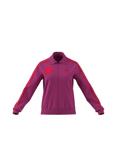 Adidas Kadın Pembe Ceket Grfx Bb Tt Jw6056 Pembe