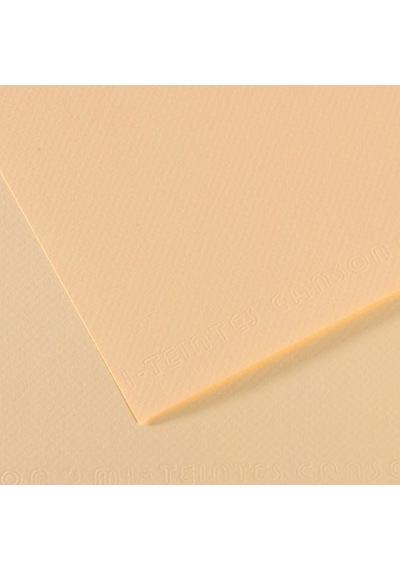 Canson Fon Kartonu Dokulu Mı-teıntes 25 Li 50x65 160 Gr 11 Ylw 31032s092 Çok Renkli