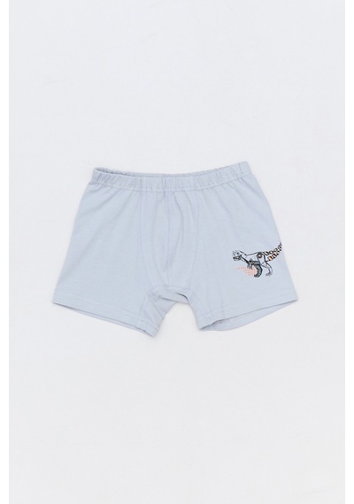 Fullamoda Dinozor Baskılı Erkek Çocuk 3 Lü Boxer 23mıcg631193589-antrasit Antrasit