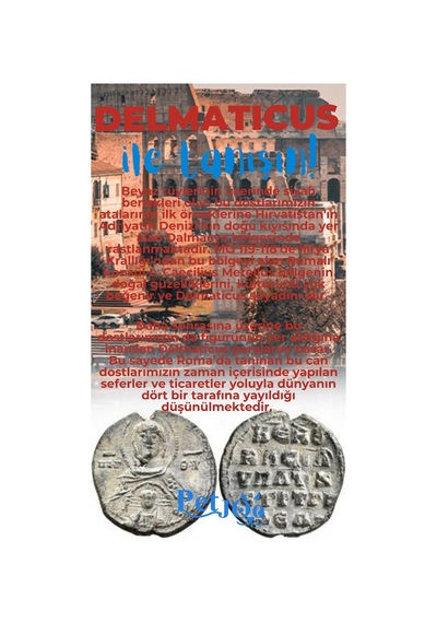 Petjoo 28.Delmaticus Mavi-Kırmızı Qr'lı Köpek Künyesi
