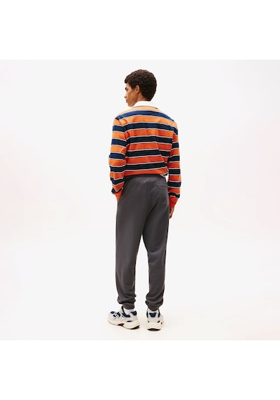 Tommy Hilfiger Heritage Varsity Erkek Gri Eşofman Altı Dm0dm22083 Gri