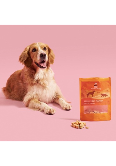 Kito Freeze Dried Somon Köpek Ödül Maması%100 Doğal, Glutensiz 30 Gr Dog Treat
