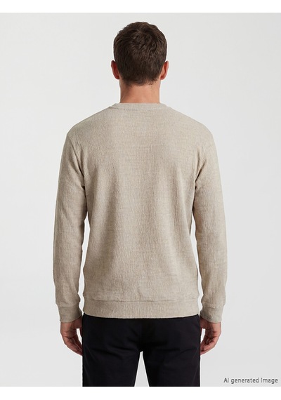 Lcwaıkıkı Classic Bej Bisiklet Yaka Dokulu Erkek Sweatshirt