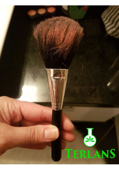 Terlans Makyaj Fırçası Temizleyici 250 ML Makeup Brush Cleaner