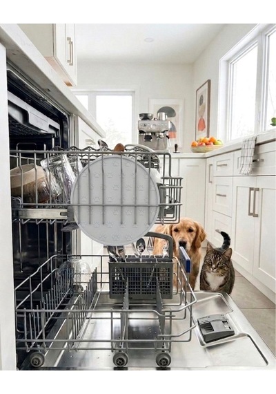 Silikon Mama Matı Kedi & Köpek İçin Kaymaz, Yıkanabilir, Havuzlu Mama Altlığı