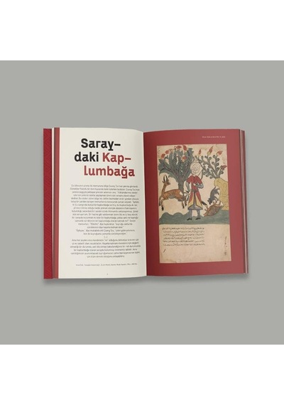 Kaplumbağa Ajandası 2024 Çok Renkli