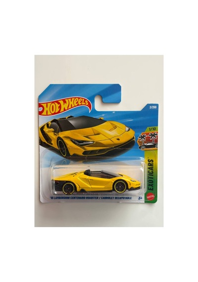'16 Lamborghini Centenario Roadster Diğer