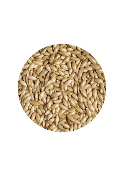 Sade Kanarya Yemi Aspur 1 KG