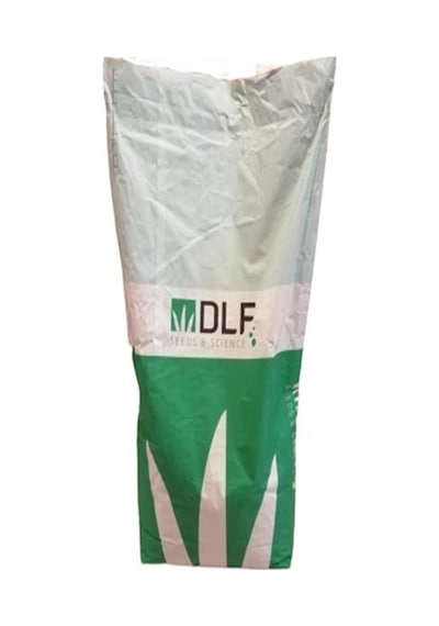 Üçgül Tohumu500 GR Süs Yoncası Trifolium Repens