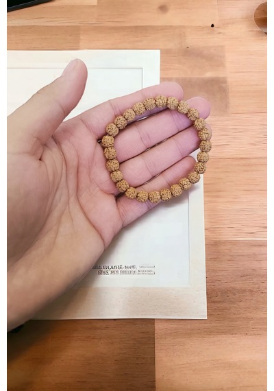 Rudraksha Tohumu Bileklik 8mm Orijinal Doğal Hafif Bileklik Rudraksha Tohumu Asetat Kutu Asetat Kutu