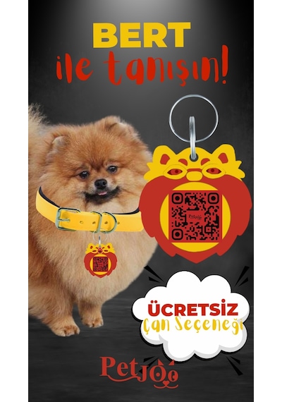 Petjoo 13.Bert Kırmızı-Sarı Qr'lı Köpek Künyesi