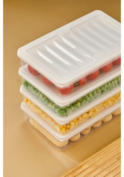 Multi Box 4 Lü Set Saklama Kabı Seti - Dondurucu & Mikrodalga Uyumlu Krem