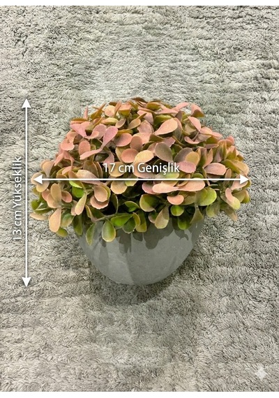 Modern Gri Saksıda Gerçekçi Yapay Dekoratif Bitki 17 X13 Cm Ev Ve Ofis Dekoru Çok Renkli
