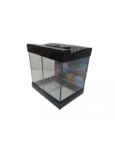 Betta Akvaryumu İki Bölmeli 20 Cm 5 Litre Siyah Renk