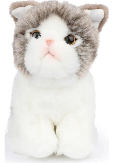 Bon Ton Toys B.t. Chaps Amelie The Scottisch Fold Kutulu Peluş Oyuncak 17 Cm - 7'' 32179010 Gri