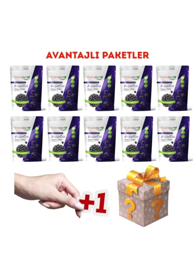 Freeze Dried Böğürtlen Dilimleri 10'lu Paket 20 G