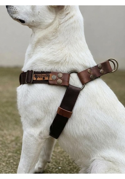 Tr Köpek Göğüs Tasması Ayarlanabilir Küçük & Orta Ve Büyük Irk Kolon Kordon Kahverengi