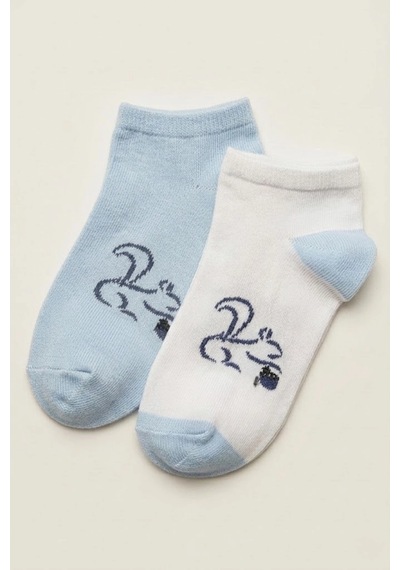 Cocole Socks Erkek Çocuk Patik Çorabı 2 Li Set Beyaz & Mavi Sincap Desenli Çok Renkli