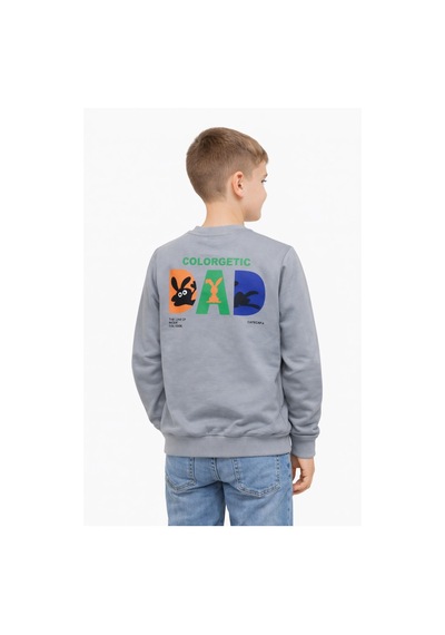 Baglan Erkek Çocuk Önü Baskılı Sweatshirt Bgl-st05234 Gri