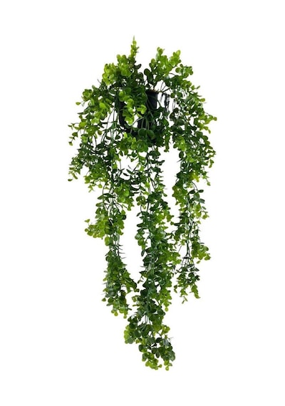 Yapay Çiçek Saksıda Sarkan Şimşir Okaliptus Yapay Sarmaşık 60Cm