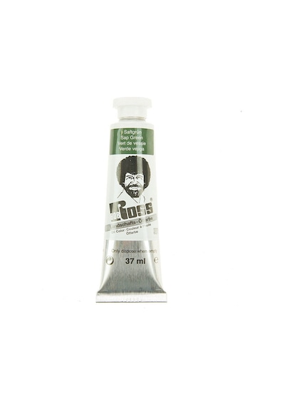 Bob Ross Yağlı Boya Manzara Serisi 37 ML No:6021 Sap Green
