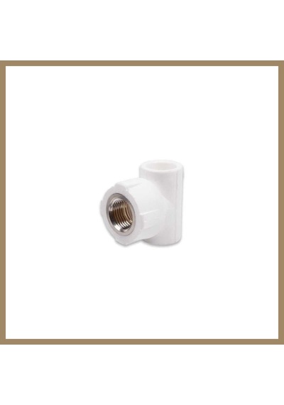 Bezos Pprc 20mm1/2 İç Dişli T 1 Adet 22