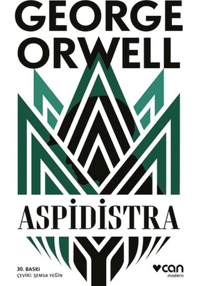 Aspidistra - Ezjı-647127