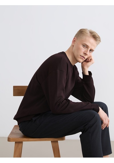 Lcw Vision Kahverengi Bisiklet Yaka Erkek Kalın Sweatshirt