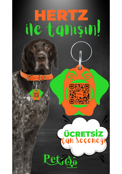 Petjoo 26.Hertz Yeşil-Turuncu Qr'lı Köpek Künyesi