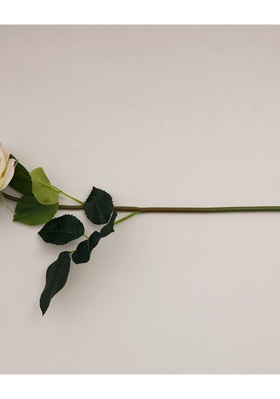 Canker Bloom Kumaş Tek Dal Yapay Çiçek Krem