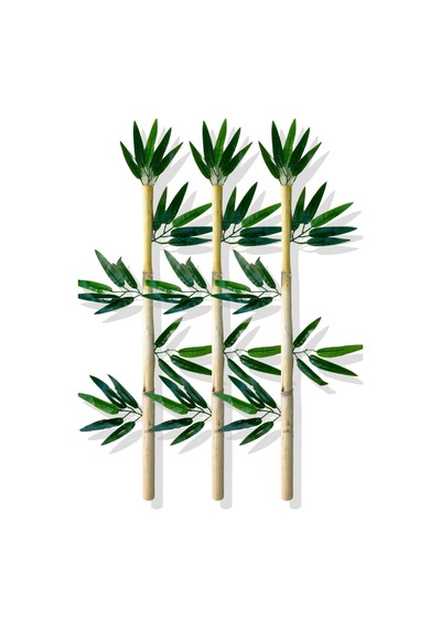 Cihan Çiçekçilik Yapay Yapraklı Dekoratif Bambu Çubuğu 80 Cm 3 Adet Islak Doku Çok Renkli