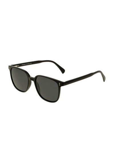 Inesta Polarızed Ip Opf3068 C101 52 17 136 Unisex Güneş Gözlüğü