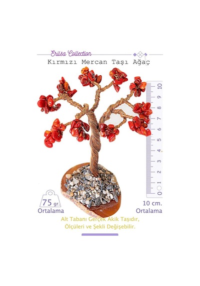 Gerçek Kırmızı Mercan Taşı Ağaç - Akik Plakalı
