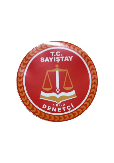 Sayıştay Denetçi Araç Stikırı