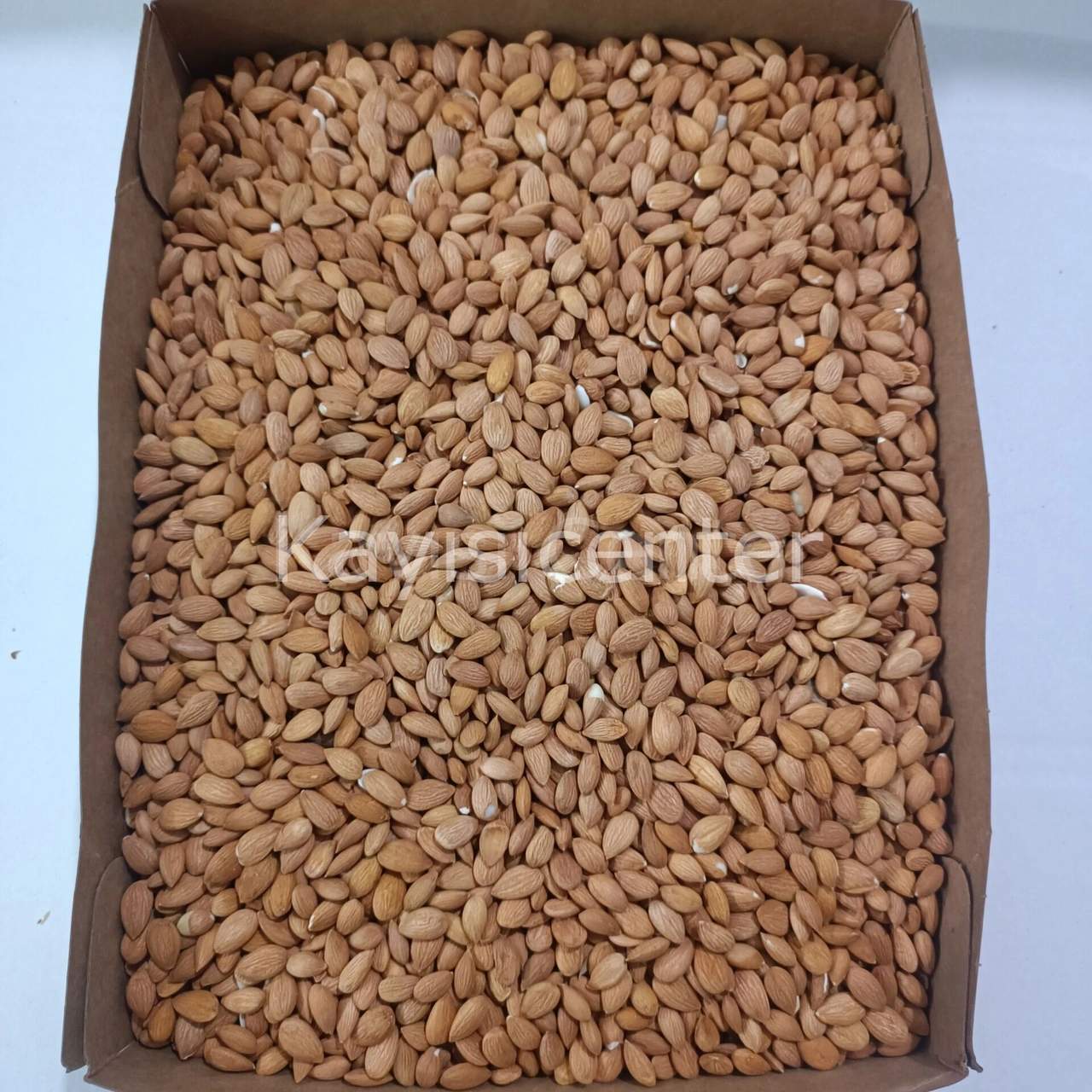 Toptan Kayısı Çekirdeği 10 Kg Diğer