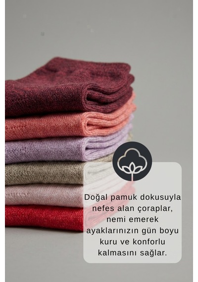 Socketta Kadın Pamuklu Likralı Dikişsiz 6'lı Karışık Renk Patik Çorap Premium Çok Renkli Socketta Kadın Pamuklu Likralı Dikişsiz 6'lı Karışık Renk Patik Çorap Premium Çok Renkli