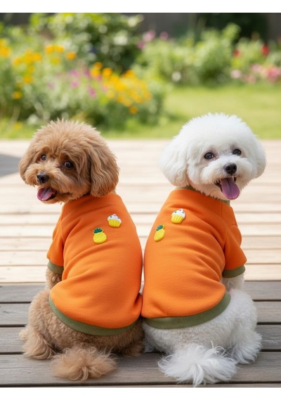 Kemique Pineapple And Ice Cream Turuncu Haki Bereli Köpekler İçin Polar Sweatshirt Takım