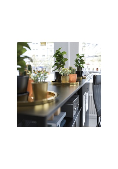 Ikea Glattis Yuvarlak Tepsi 38 Cm Altın