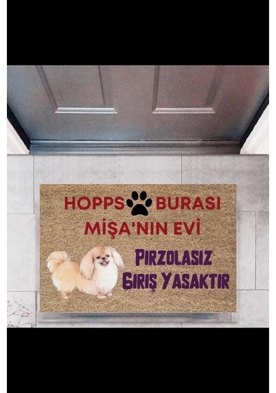 Kapı Önü Paspası Dekoratif Dijital Baskı Hopps P-2474 Renkli