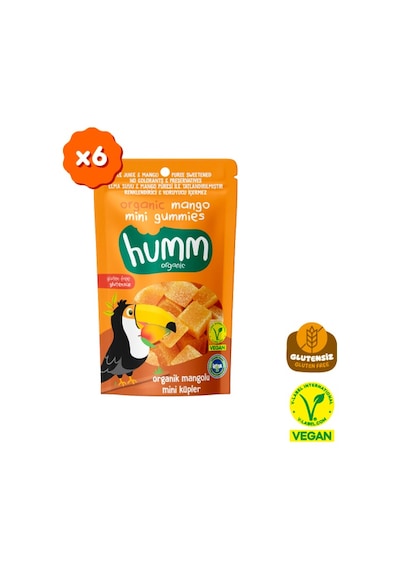Organik Glutensiz Vegan Mangolu Mini Küpler Atıştırmalık Paketi - 6 Adet 180 G