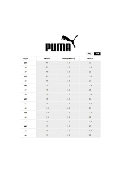 Puma Flyer Lite Jr 401526-11 Gri Sneaker