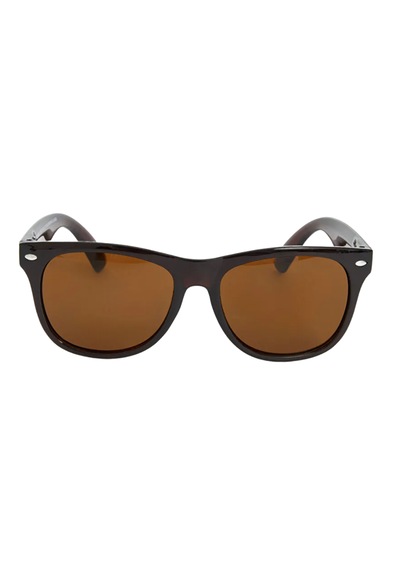 Carmelo Eyewear C01gk022 Polarize Kahverengi Kadın Güneş Gözlüğü